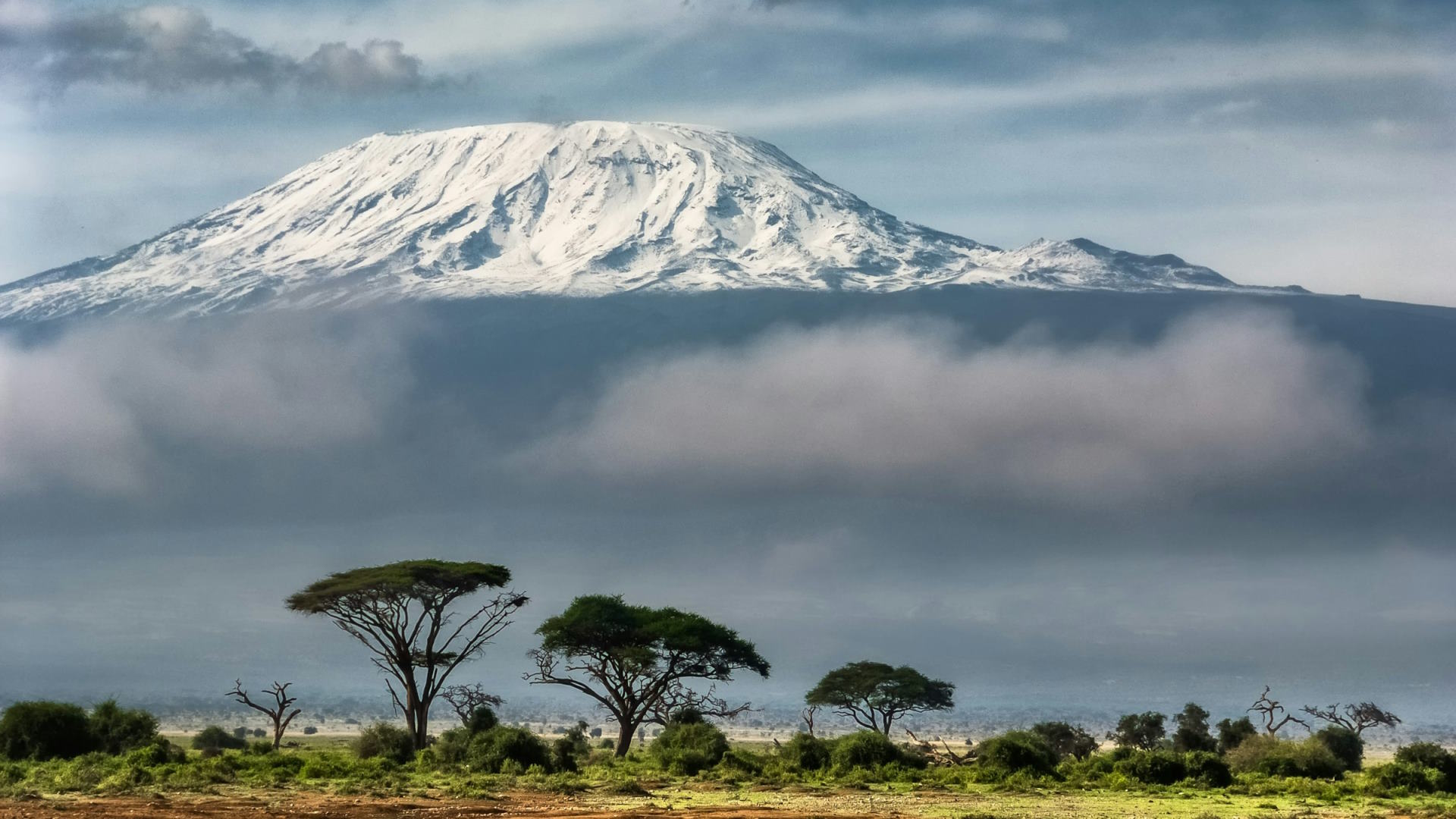 Paisaje con árboles y montaña de fondo en Kenia