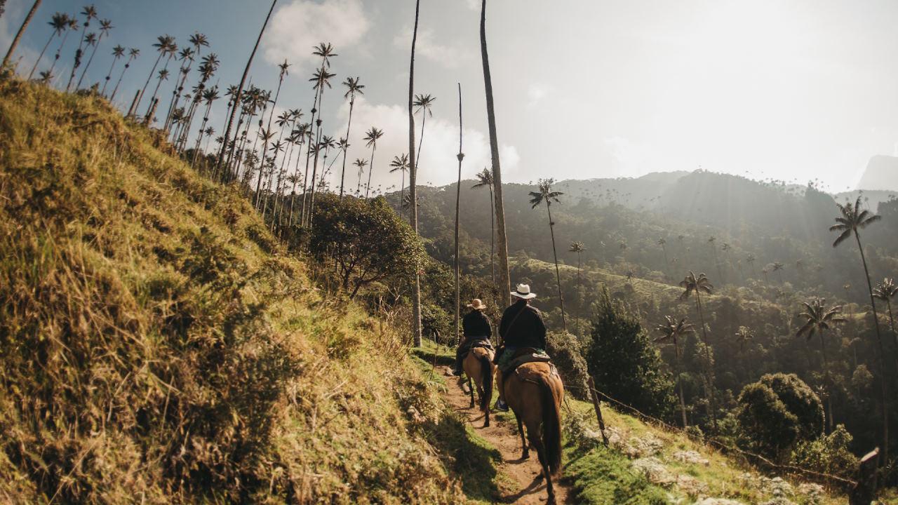 Vistas del Valle del Cocora